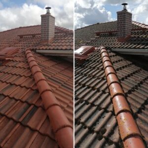 97977183_3869361533105427_449725115031093248_n